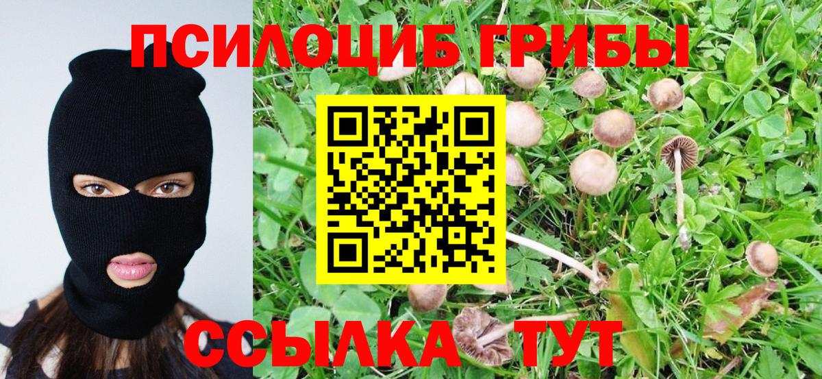 Галлюциногенные грибы MAGIC MUSHROOMS  Вход с VPN  Майкоп 